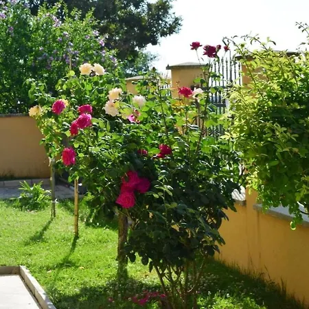 Al Mare 1 Apartment Shkorpilovtsi
